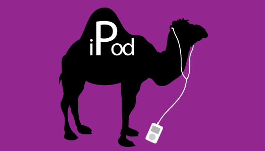 The CamelCase Convention